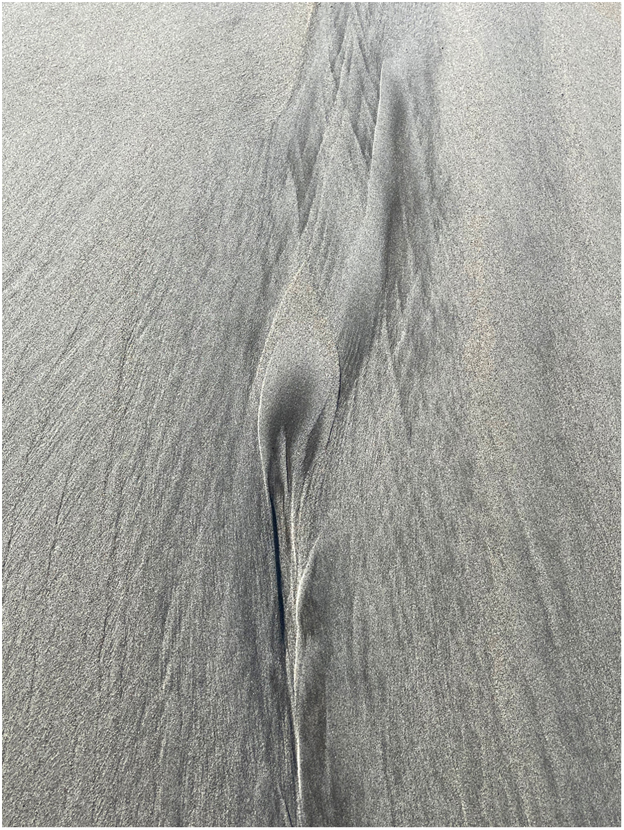 Mastandrea Angela Natures Sand Art Nature   General   Class B 20251022